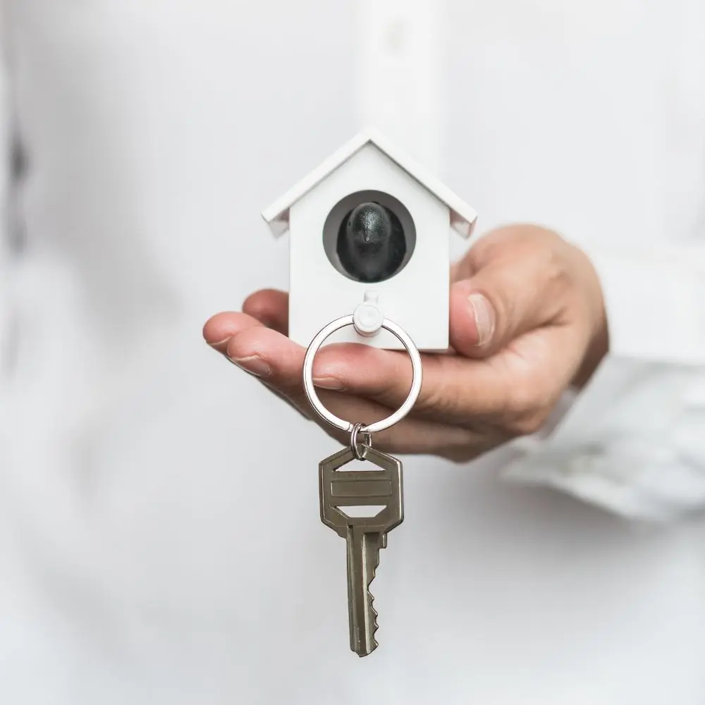 Estate Planning, Wills & Probate